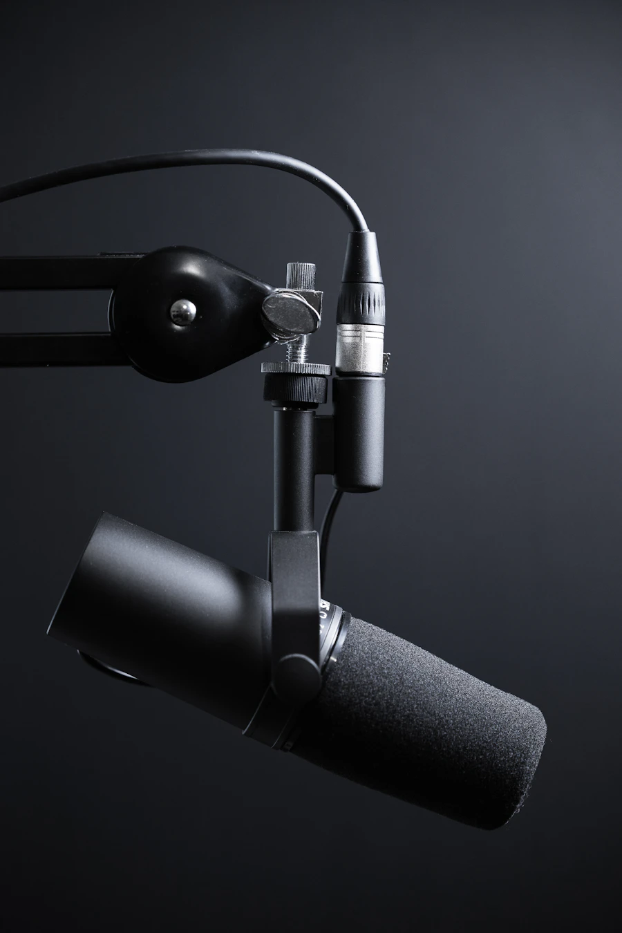 Professional audio recording setup