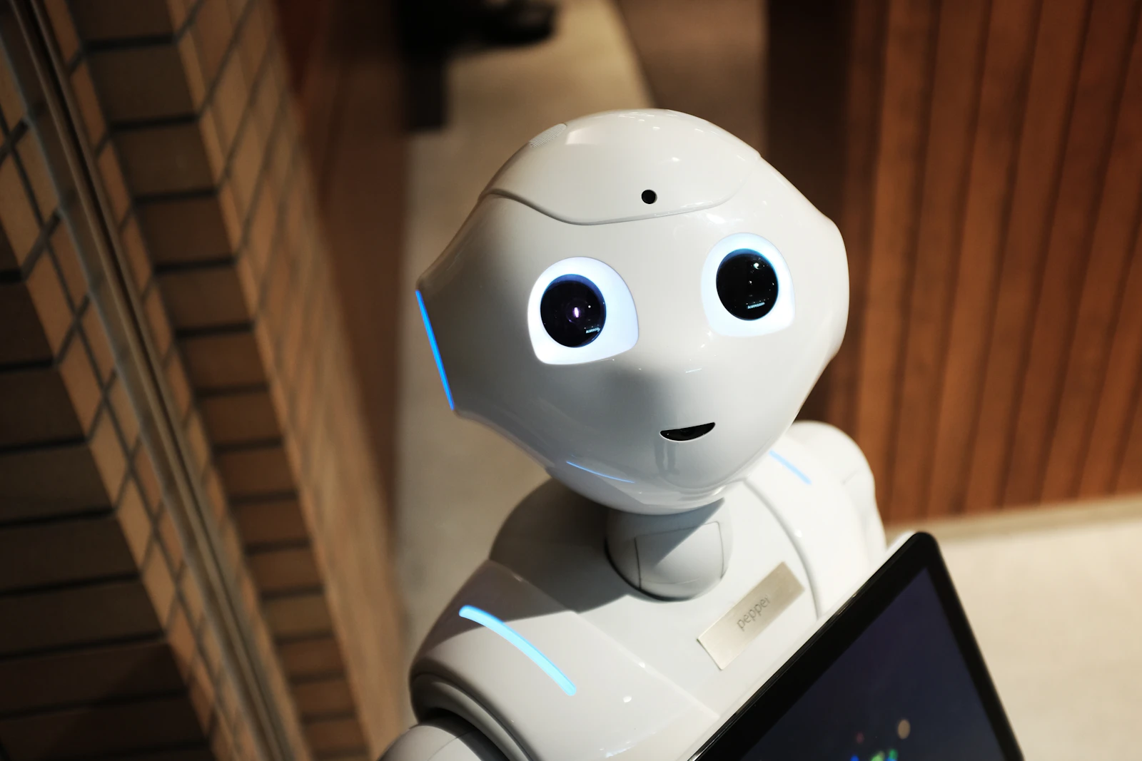 AI companion robot interaction